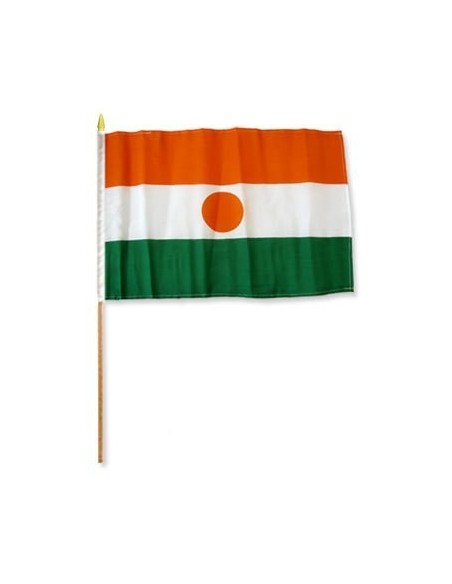 Niger 12" x 18" Mounted Flag