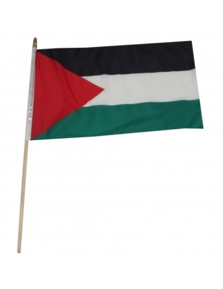 Palestinians 12" x 18" Mounted Flag