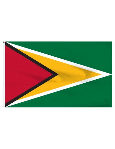 Guyana 2' x 3' Indoor International Polyester Flag | Buy Online