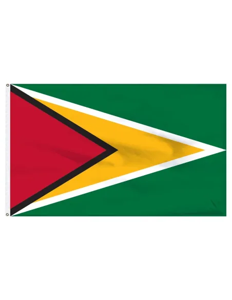 Guyana 2' x 3' Light Weight Polyester