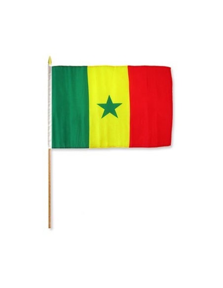 Senegal 12" x 18" Mounted Flag