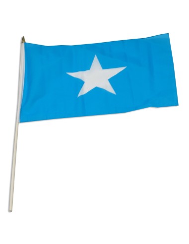 Somalia Mounted Flag 12" x 18"| Buy Online Now