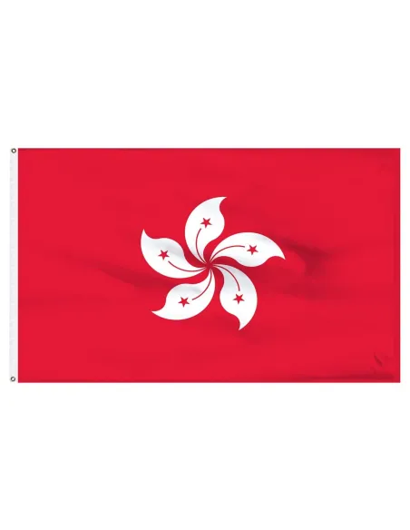 Hong Kong 2' x 3' Light Weight Polyester