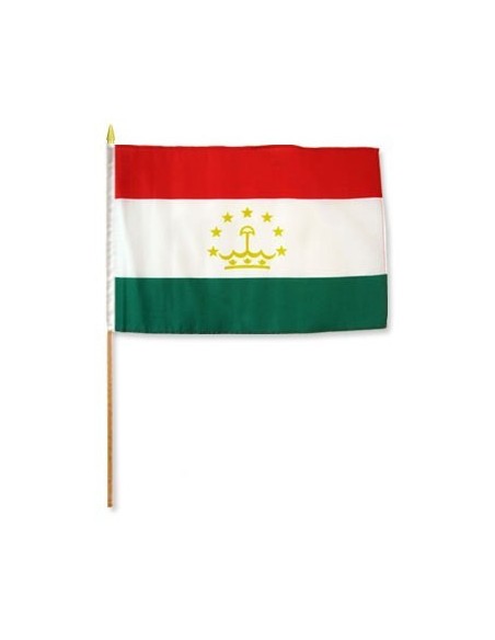 Tajikistan 12" x 18" Mounted Flag