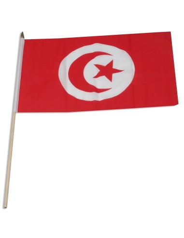 Tunisia Mounted Flag 12" x 18"| Buy Online Now