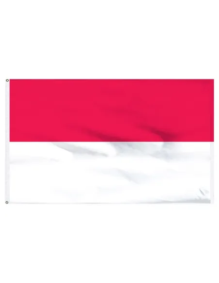 Indonesia 2' x 3' Light Weight Polyester