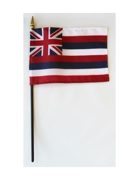 Hawaii 4" x 6" Mounted Flags