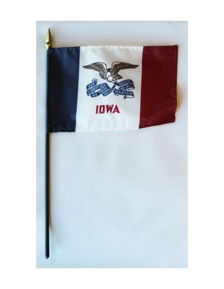 Iowa 4" x 6" Mounted Flags