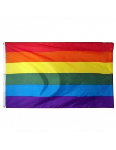 Rainbow | Pride 2' x 3' Indoor International Polyester Flag